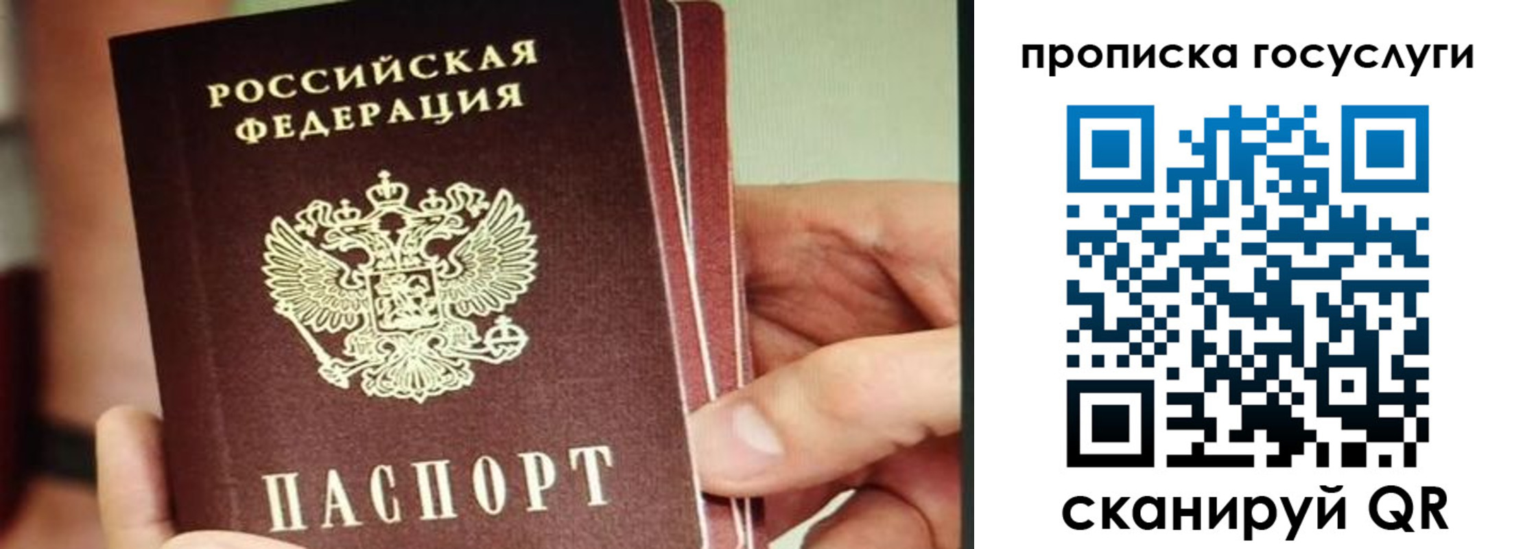 пропишу в квартире в Сельцо